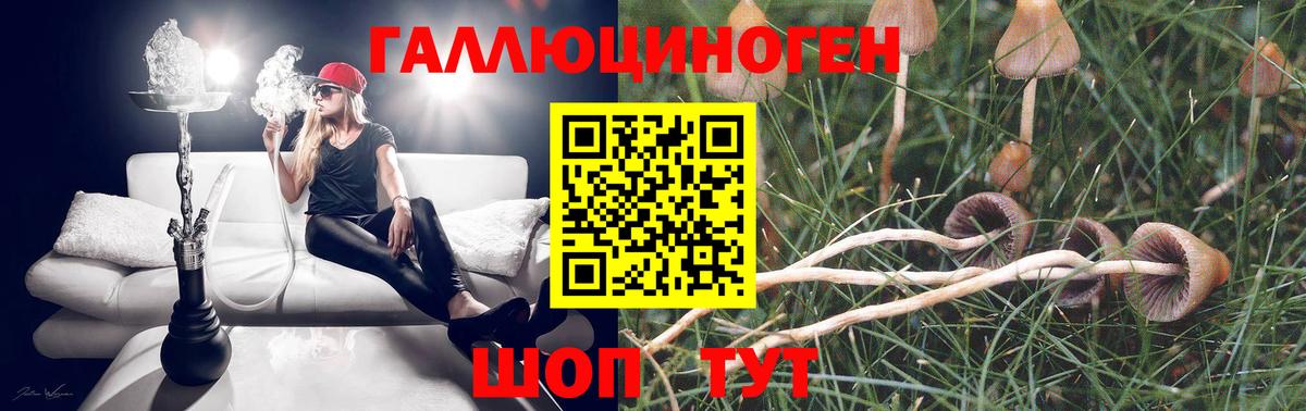 Псилоцибиновые грибы MAGIC MUSHROOMS Уссурийск