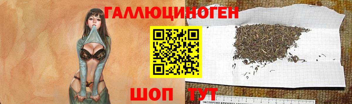 Уссурийск  Галлюциногенные грибы прущие грибы  Вход с VPN 